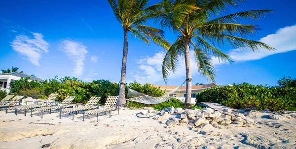 Houpací síť beach v Karibiku — Stock fotografie