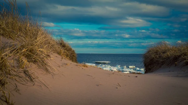 Strand in de winter — Stockfoto