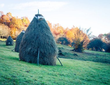 yığını saman maramures Romanya
