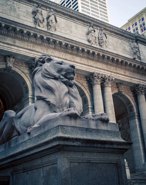 Lion socha new York city — Stock fotografie