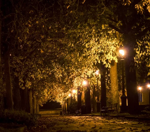 Parque à noite siena — Fotografia de Stock