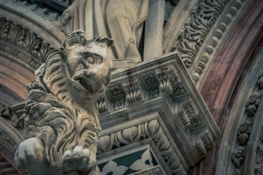 Aslan siena İtalya