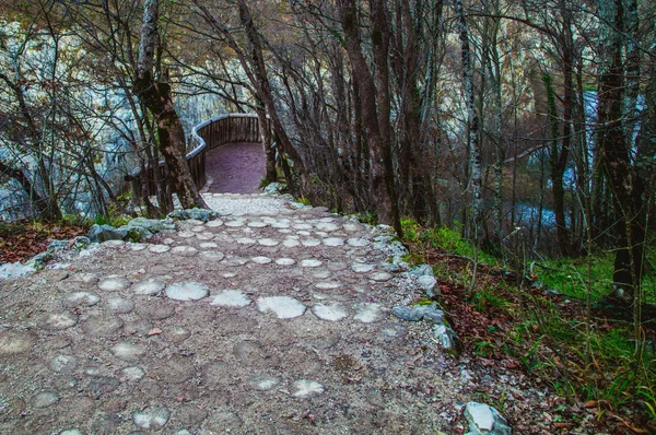 Yolu plitvice gölleri — Stok fotoğraf