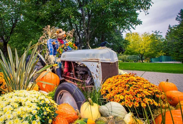 Halloween display and Scarecrow — Stock Photo, Image