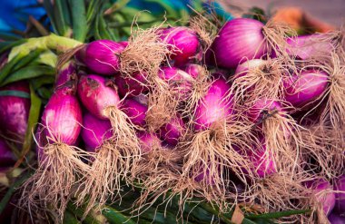 taze kırmızı soğan