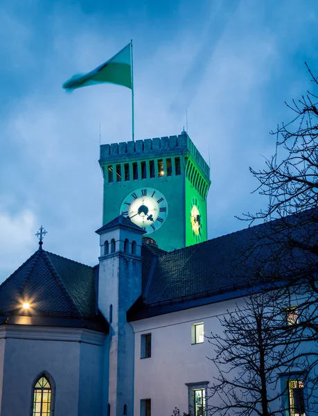 Clock Tower Ljubljana Slovenia — Stock Photo, Image