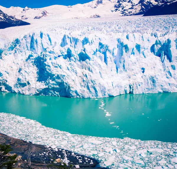 Льодовик Ель Calafate Аргентини — стокове фото