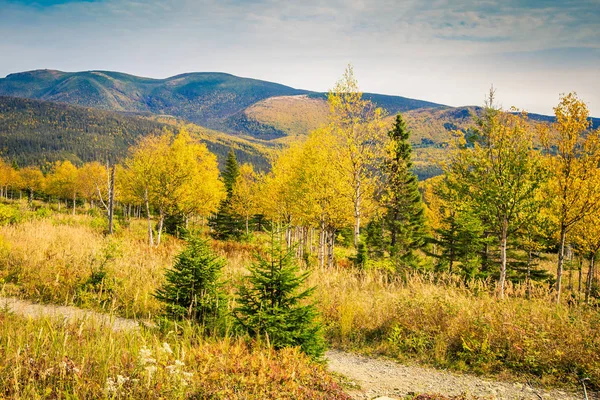 Trilha Trekking Gaspe Quebce — Fotografia de Stock