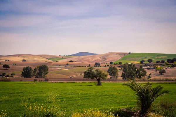 Rolling Fields Spain — Stock Photo, Image