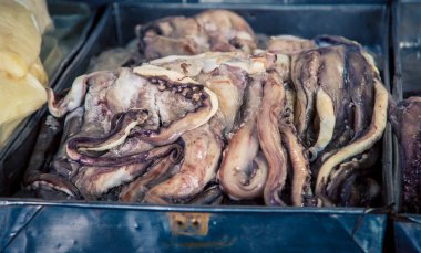 bir markette taze ahtapot