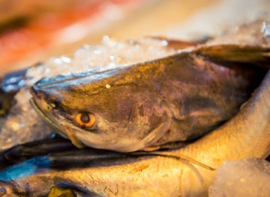 Yayın balığı bir Pazar