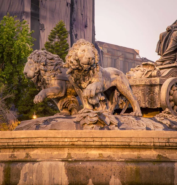 Estatuas León Ciudad México — Foto de Stock