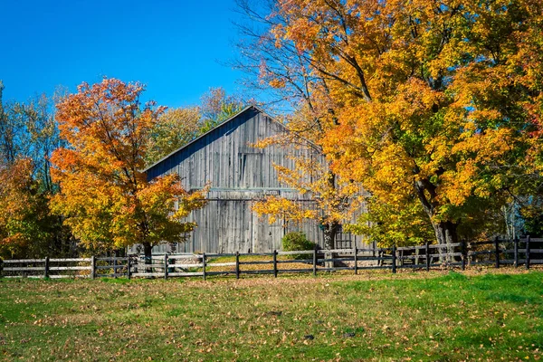 Rural Ontario Fall — Stock Photo, Image