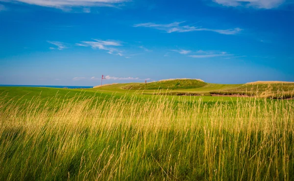 Svingel Gräs Golfbana — Stockfoto