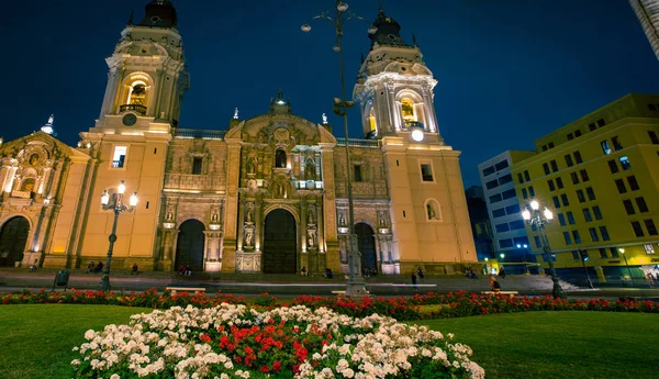 Bloementuin Kathedraal Nachts Lima Peru — Stockfoto
