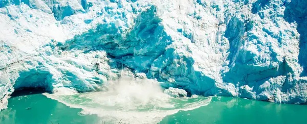 Gelo Calafate — Fotografia de Stock