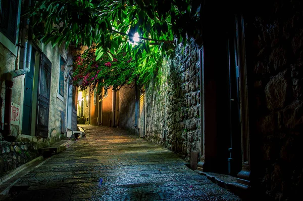 Calle Por Noche Montenegro — Foto de Stock