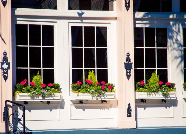 Flowers Window Box Charleston — Stock Photo, Image