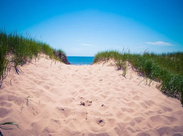 Pad Zandduinen — Stockfoto