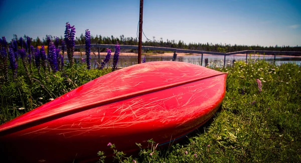 Sahilde Kırmızı Kano — Stok fotoğraf