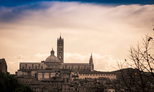 Cathedral Dome Siena Italy — Stock Photo, Image