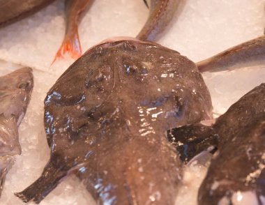 Balık pazarında taze balık.