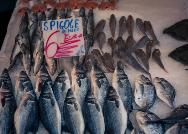 fresh fish market in Naples Italy