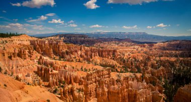 Bryce Kanyonu 'ndaki kayalıklar Utah