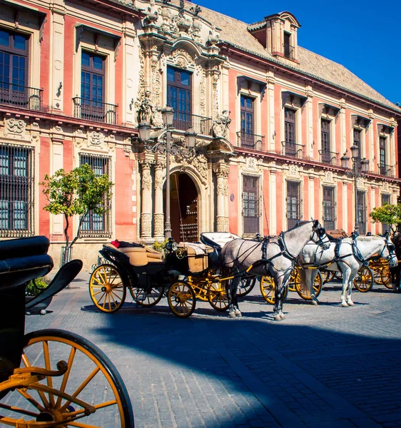 Häst Och Vagn Sevilla — Stockfoto