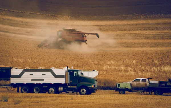 Combine Grain Field Washington State — Stock Photo, Image