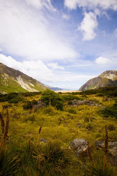 Valle Dell Isola Del Sud Della Nuova Zelanda — Foto Stock