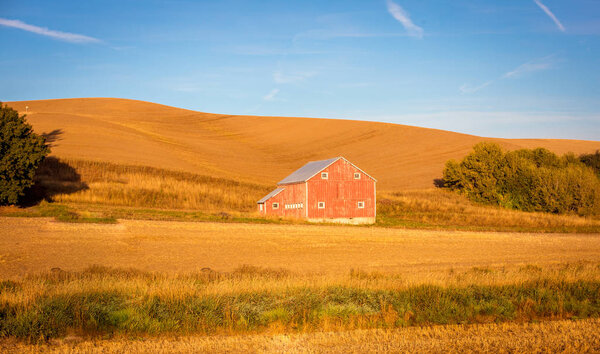 Деревянный сарай в палатке
