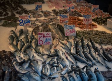 Balıkçılar balık tezgahlarını sergiler. 