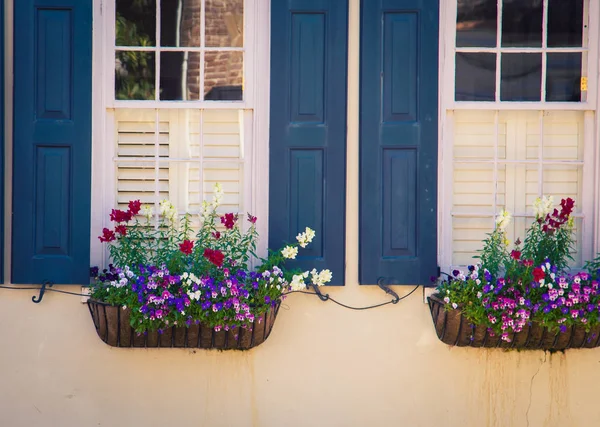 Colorful Window Box Charleston — Stok fotoğraf