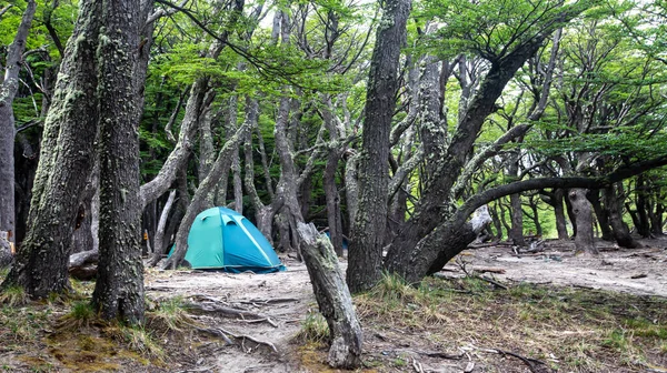 阿根廷El Chalten帐篷 — 图库照片