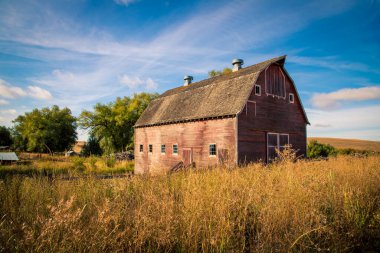Washington kırsalındaki ahırı terk et.