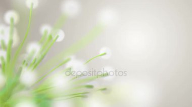 Bahar ya da yaz yeşil bitkiler ve bokeh sezon doğa arka plan soyut