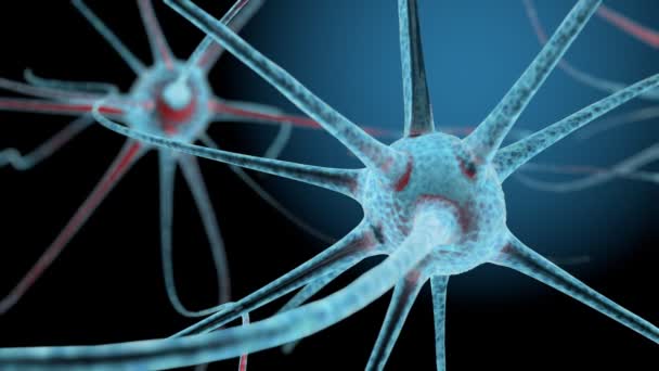 Neuron Sejtek Hálózati Struktúra Animáció — Stock videók