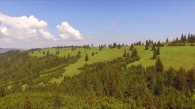 Hava dron görüntüleri izlenme: Bahar dağlar, tepeler ve çam ve köknar ile çayırlar üzerinde güneş yumuşak ışık yeşil ormanlar uçuş. Karpat Dağları, Romanya, Avrupa. Güzel manzara