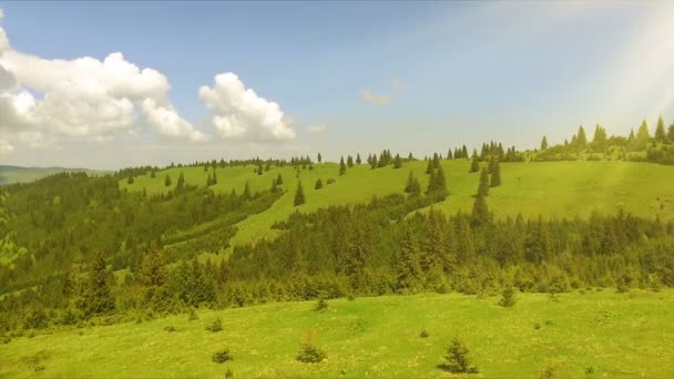Hava Dron Görüntüleri Izlenme Bahar Dağlar Tepeler Çam Köknar Ile — Stok video