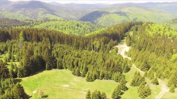 Letecký Pohled Záběry Drone Přelet Jaře Hory Kopce Louky Borovice — Stock video