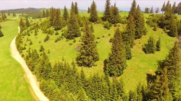 Aerial Drone Footage View Flight Spring Mountains Hills Meadows Pine — Stock Video