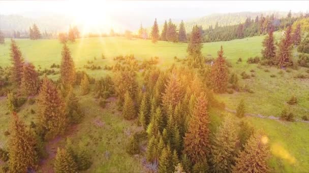 Vue Aérienne Par Drone Vol Dessus Des Montagnes Printanières Des — Video