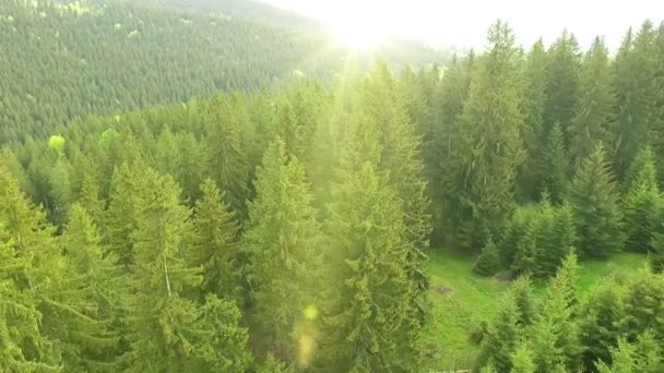 Aerial Drone Footage View Voo Sobre Montanhas Primavera Colinas Prados — Vídeo de Stock