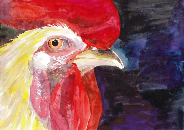 Akvarell Farm madár kakas — Stock Fotó