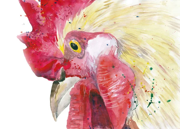 Akvarell Farm madár kakas — Stock Fotó