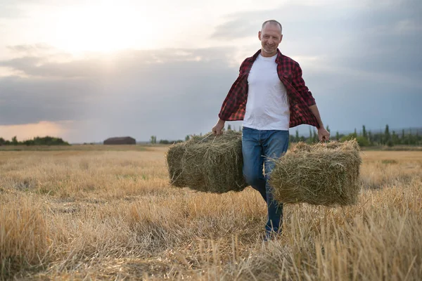 Tarlada çalışan çiftçi