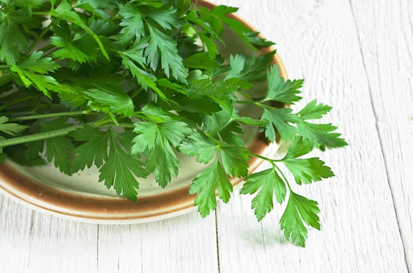 Parsley in plate — Stock Photo, Image