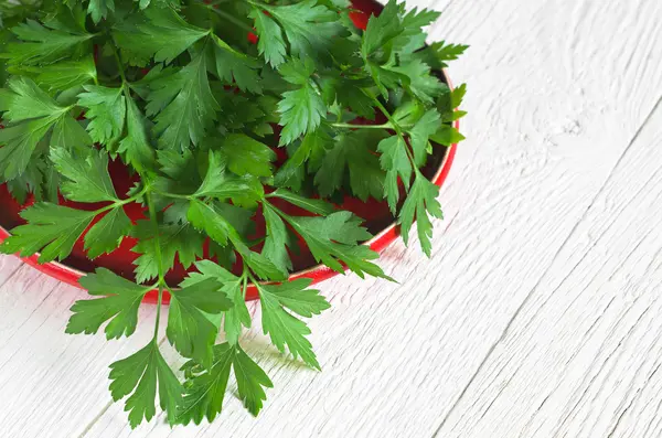 Parsley in plate — Stock Photo, Image