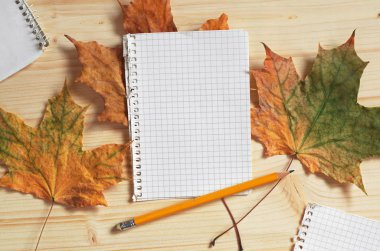 defter bir kalem ile 